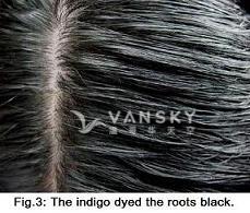 221228151000_Hair-Dyed with indigo-s.jpg